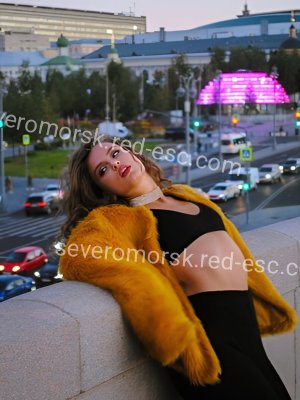 Алиса — Чердынь